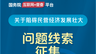 操我的逼黄片视频国务院“互联网+督查”平台公开征集阻碍民营经济发展壮大问题线索